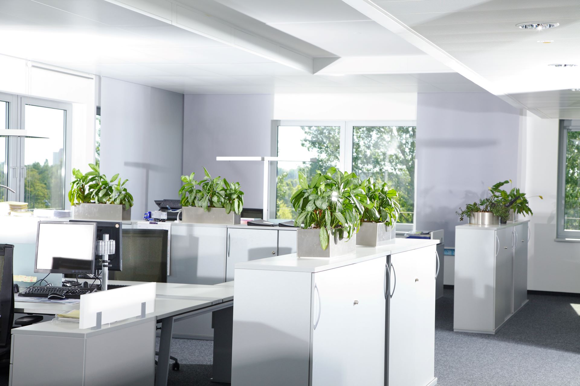 Resume Writing Services Pakenham South VIC